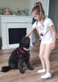Puli-pumi - 2 éves kan