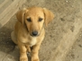 Barni