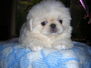 Minike