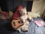 Gitááááár....