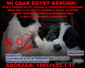 Mi csak egyet kérünk!