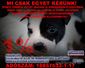 Önnek csak egy nyilatkozat