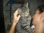 Silverby