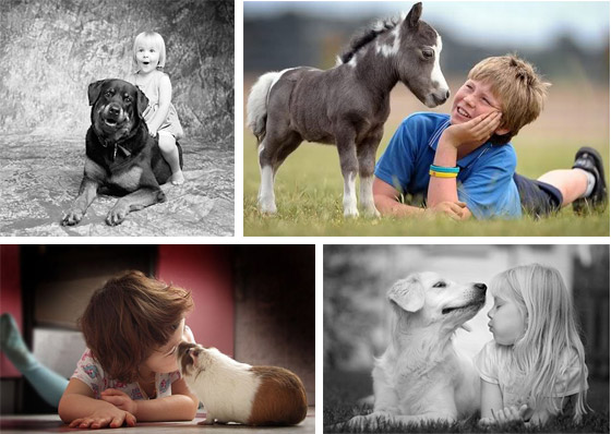 Gyermekek és állatok fotópályázat